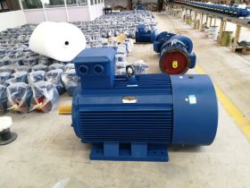 帶電磁制動(dòng)電機(jī)-電磁制動(dòng)電機(jī)與電機(jī)帶制動(dòng)器,是同個(gè)意思嗎?是一樣的嗎?